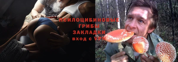 тгк Михайловск