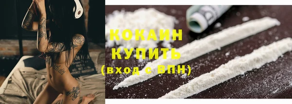 тгк Михайловск