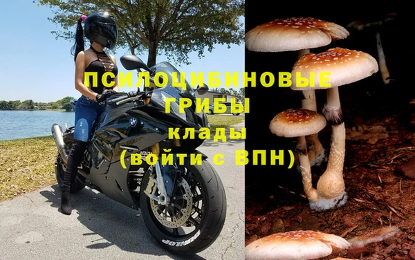 тгк Михайловск