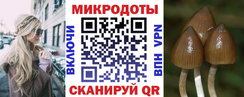 Купить  Хадыженск  Галлюциногенные грибы GOLDEN TEACHER 